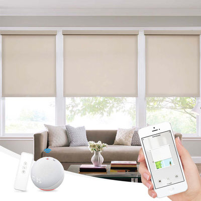 Cortinas de rolo de controle remoto espertas de Wifi, cortinas elétricas automáticas da cortina para o escritório