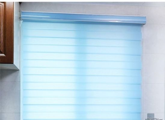 Cortinas impermeáveis da zebra do rolo, máscaras horizontais do rolo para a sala de visitas