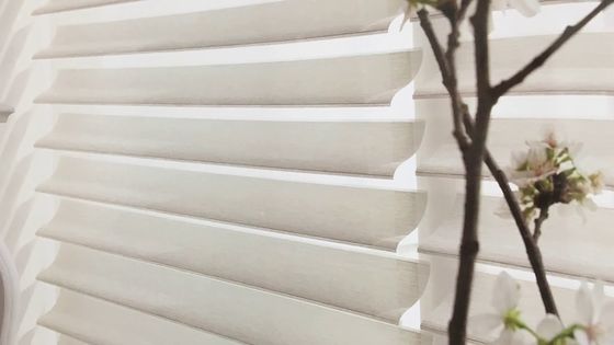 Elétrico ideal das cortinas do La de Shangri do escurecimento das máscaras motorizado para a decoração da janela
