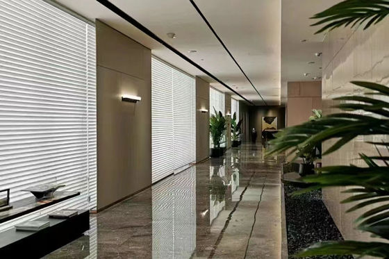 O motor de Tuya cega a dobradura de controle remoto da ondinha do La de Shangri para a sala de visitas