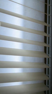 O PVC espuma cortina vertical ideal resistente do óleo UV impermeável semi cego do oídio
