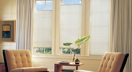 Dia e noite cortinas do favo de mel para a proteção de levantamento elétrica das cortinas do obturador da sala de visitas