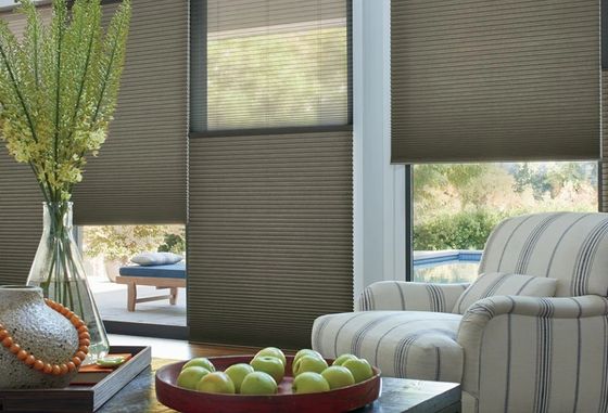 Dia e noite cortinas do favo de mel para a proteção de levantamento elétrica das cortinas do obturador da sala de visitas